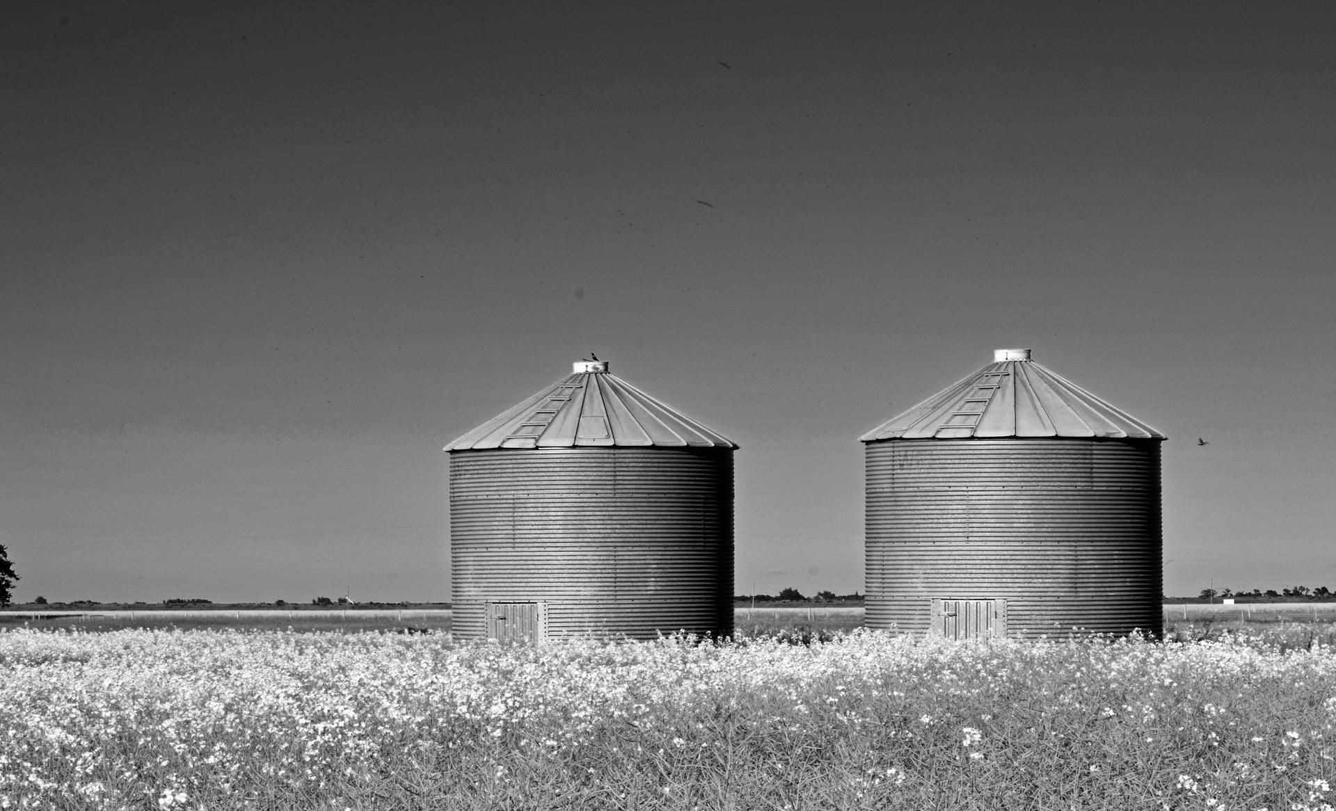 Silo’s zijn voor graan, niet voor data